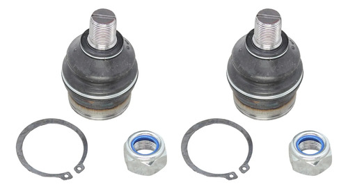 Par Rótulas Inferiores Ram 1500 1994-2002 Grob, foto 1