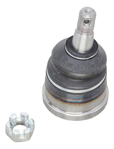 Rótula Inferior Caballero 1978-1987 Grob, foto 1